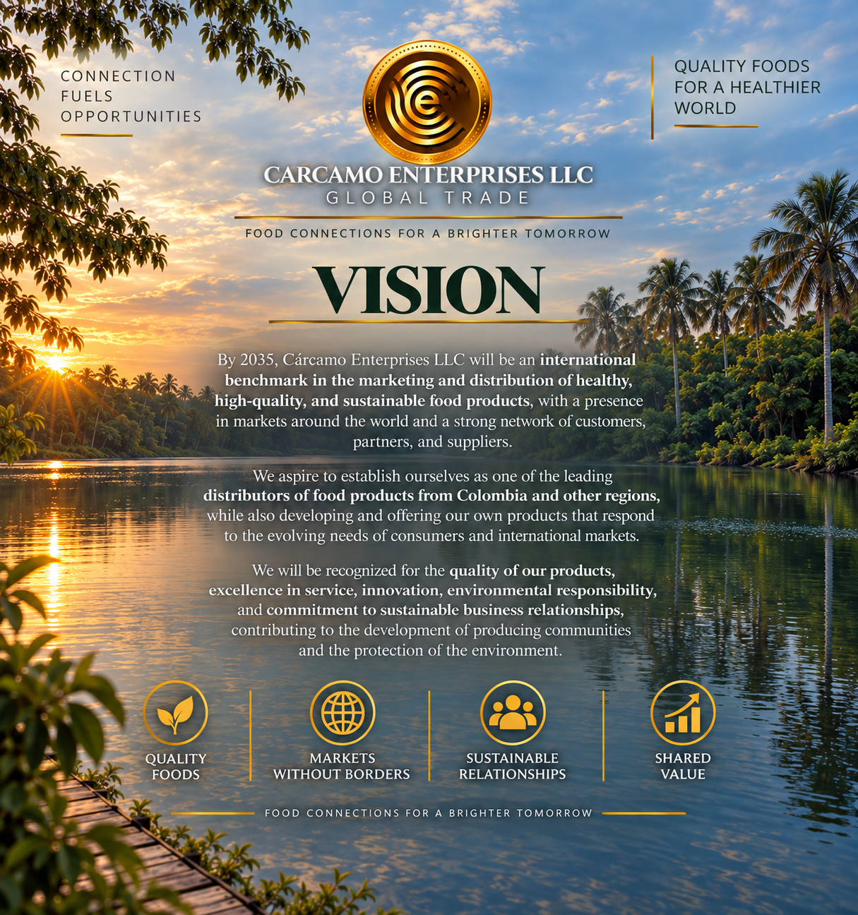 Vision